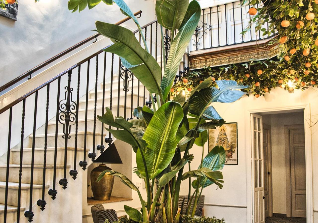 ארקוס דה לה פרונטרה Casa Rural Casa Levante מראה חיצוני תמונה